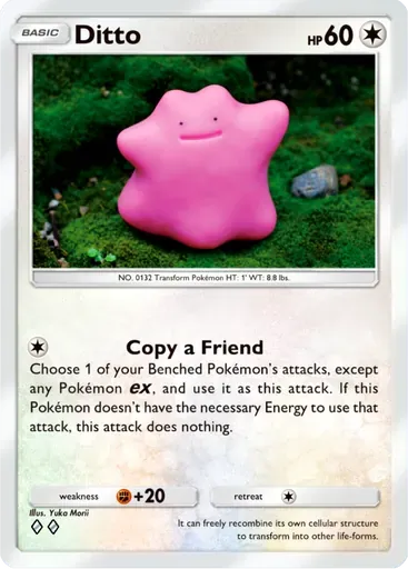 Ditto