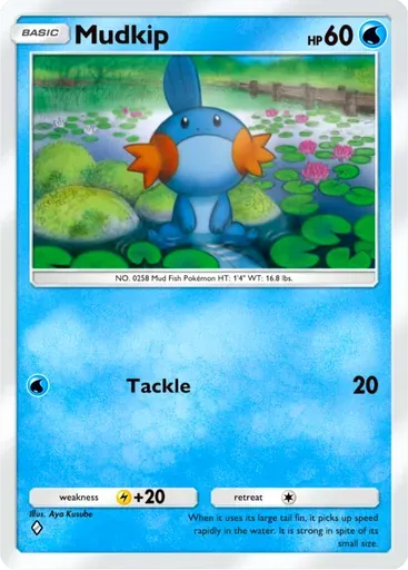 Mudkip