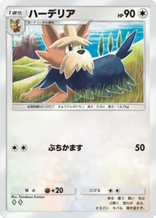 ハーデリア