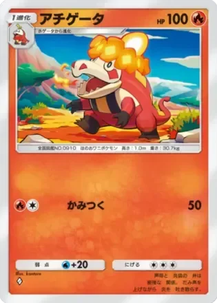 アチゲータ