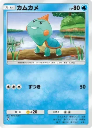 カムカメ