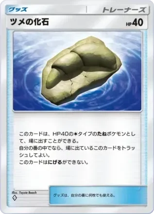 ツメの化石