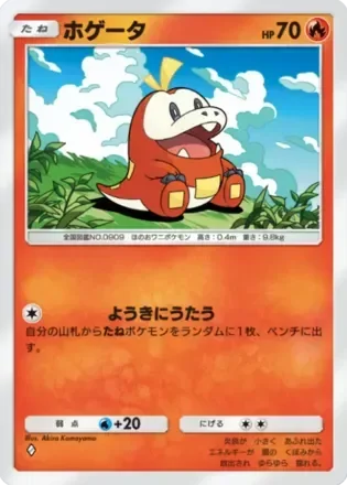 ホゲータ