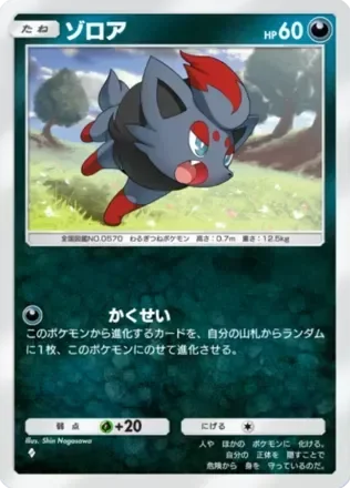 ゾロア