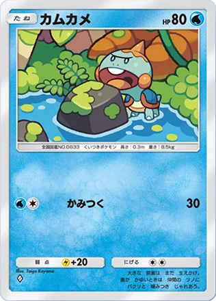 カムカメ