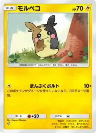 モルペコ