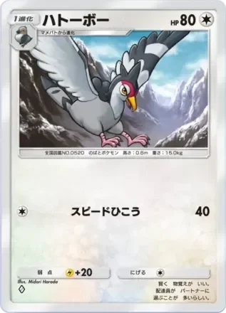 ハトーボー