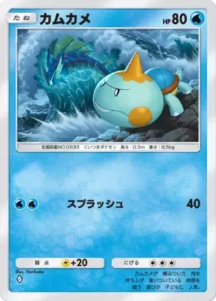 カムカメ