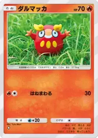 ダルマッカ