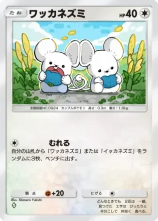 ワッカネズミ