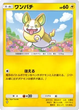 ワンパチ