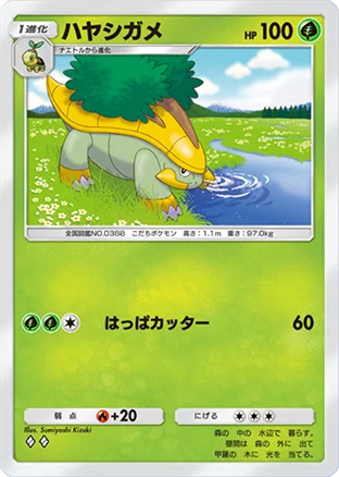 ハヤシガメ