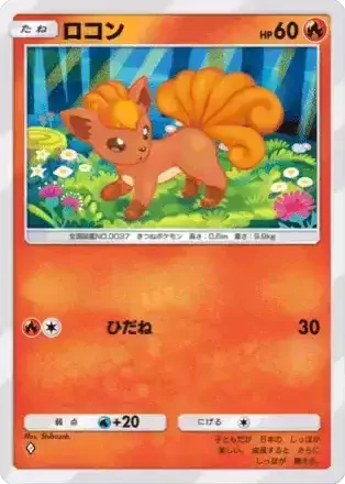ロコン