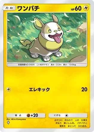 ワンパチ