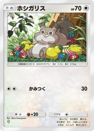 ホシガリス