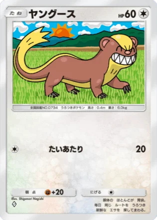 ヤングース