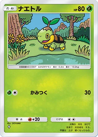 ナエトル