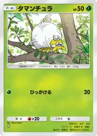 タマンチュラ