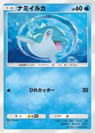 ナミイルカ