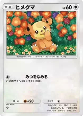ヒメグマ
